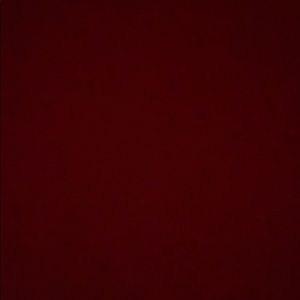 Meet your Posher, Maia